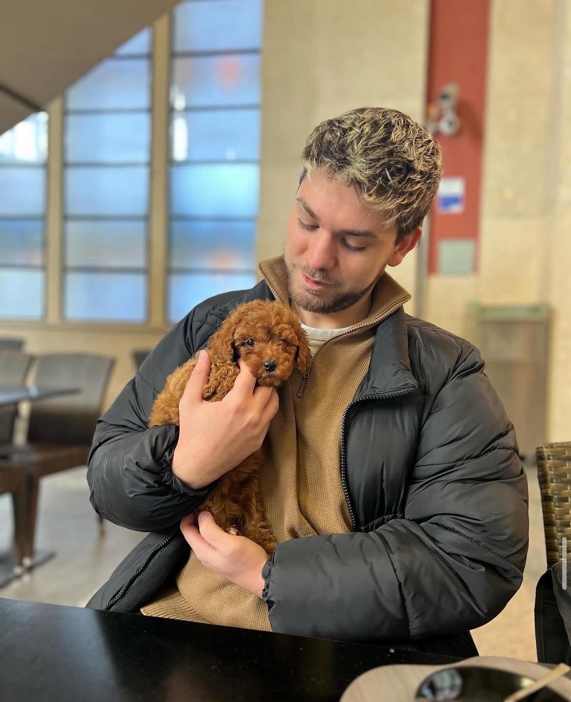 Rolling Dachshunds family