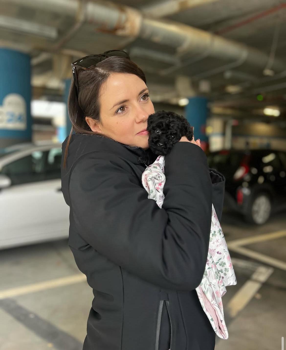 Rolling Dachshunds family