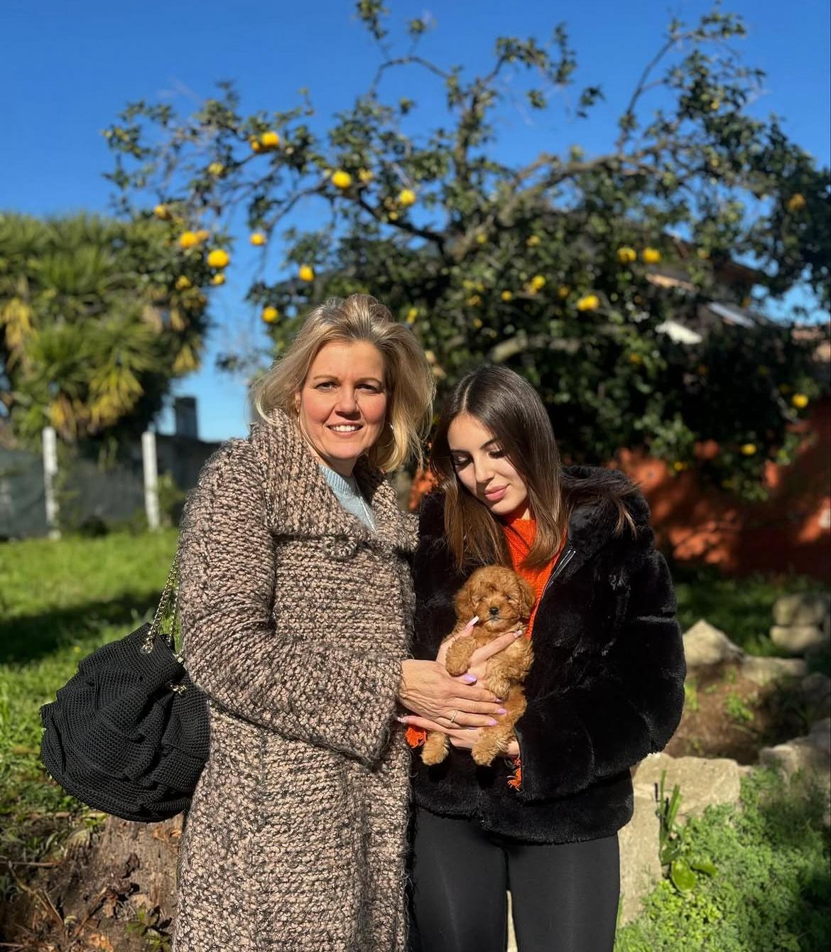 Rolling Dachshunds family