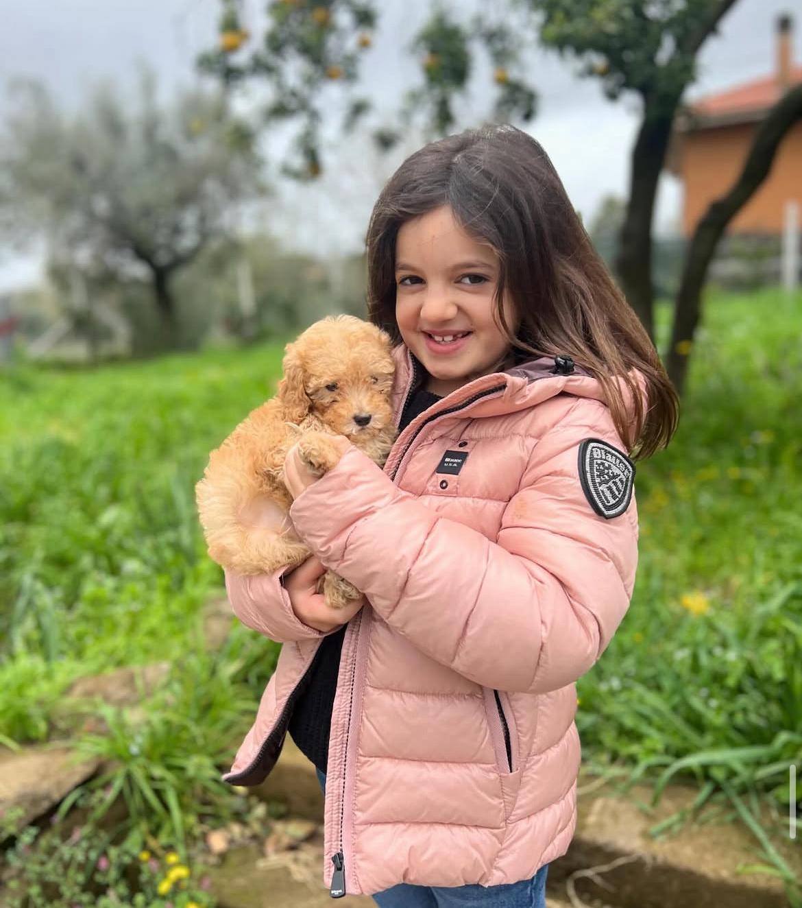 Rolling Dachshunds family