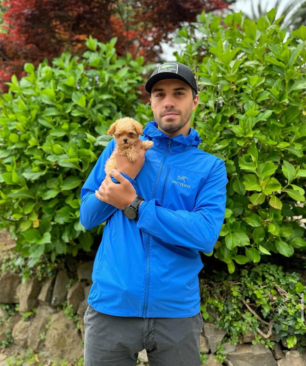 Rolling Dachshunds family