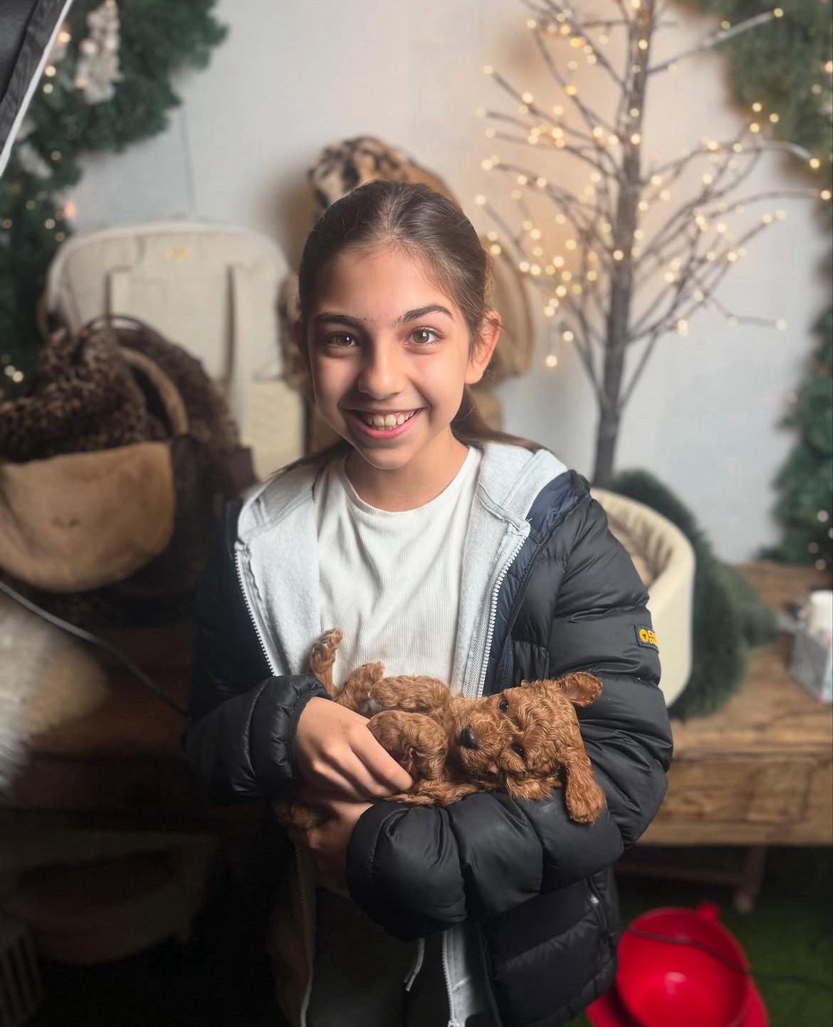 Rolling Dachshunds family