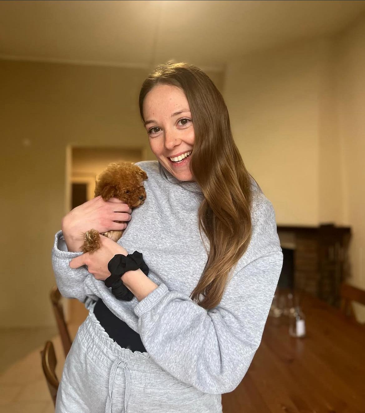 Rolling Dachshunds family