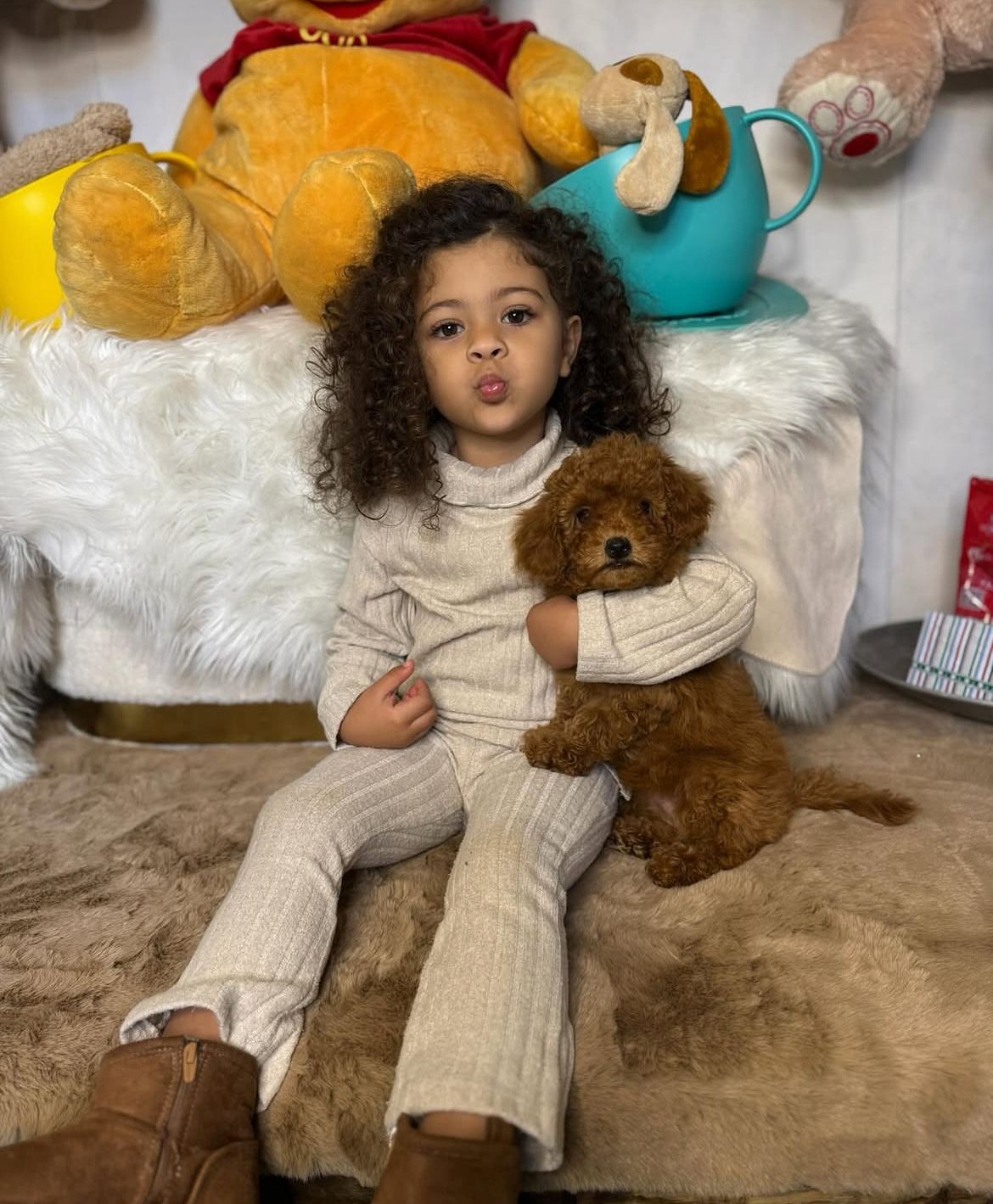 Rolling Dachshunds family