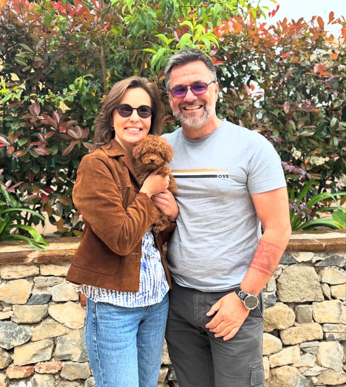 Rolling Dachshunds family