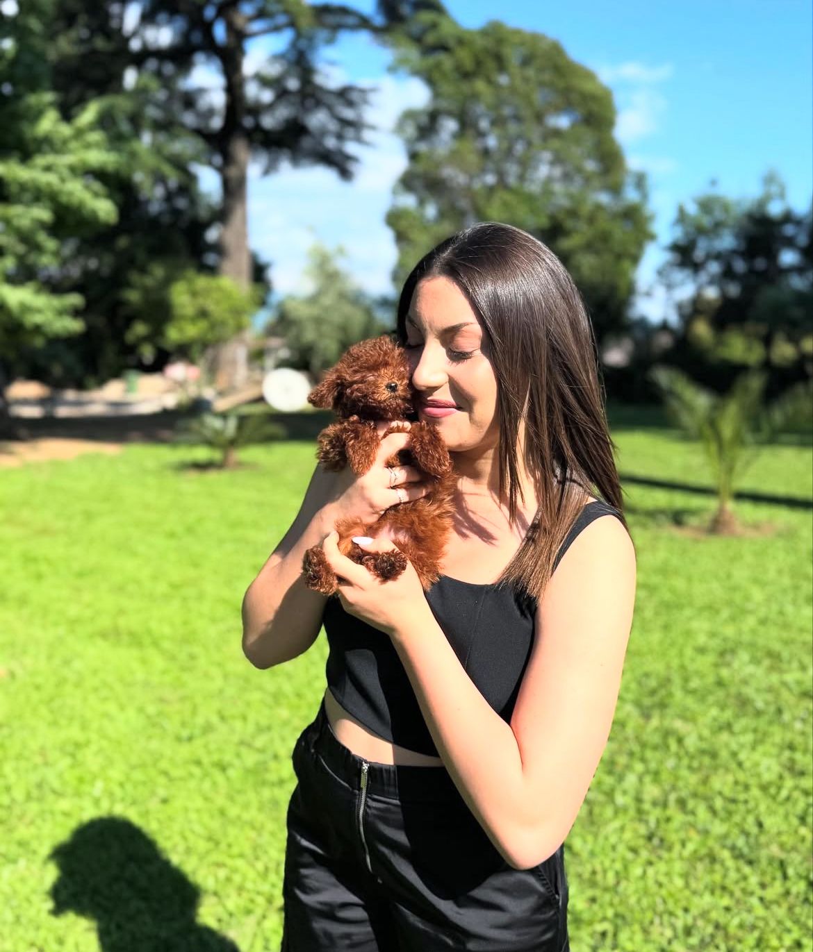 Rolling Dachshunds family