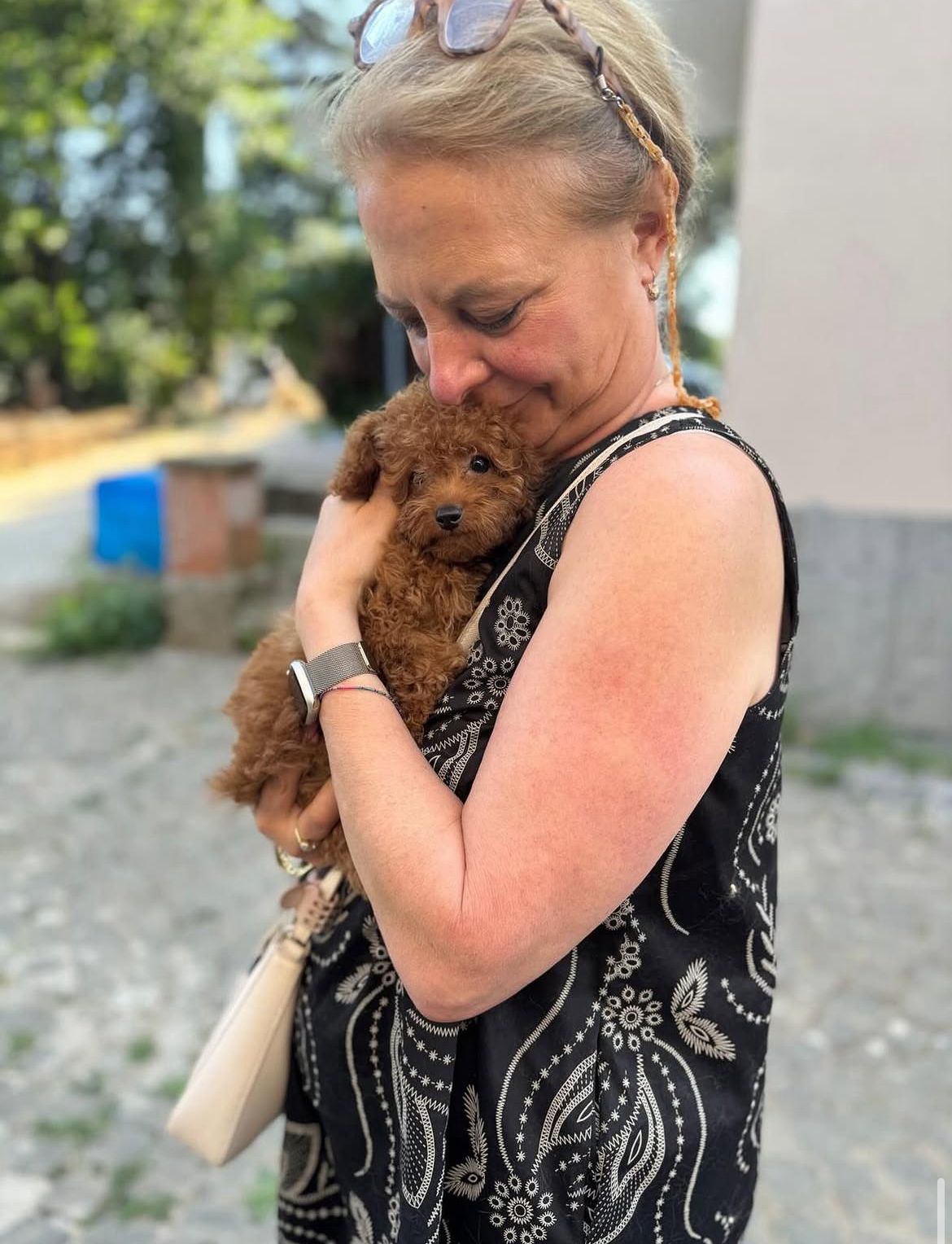 Rolling Dachshunds family