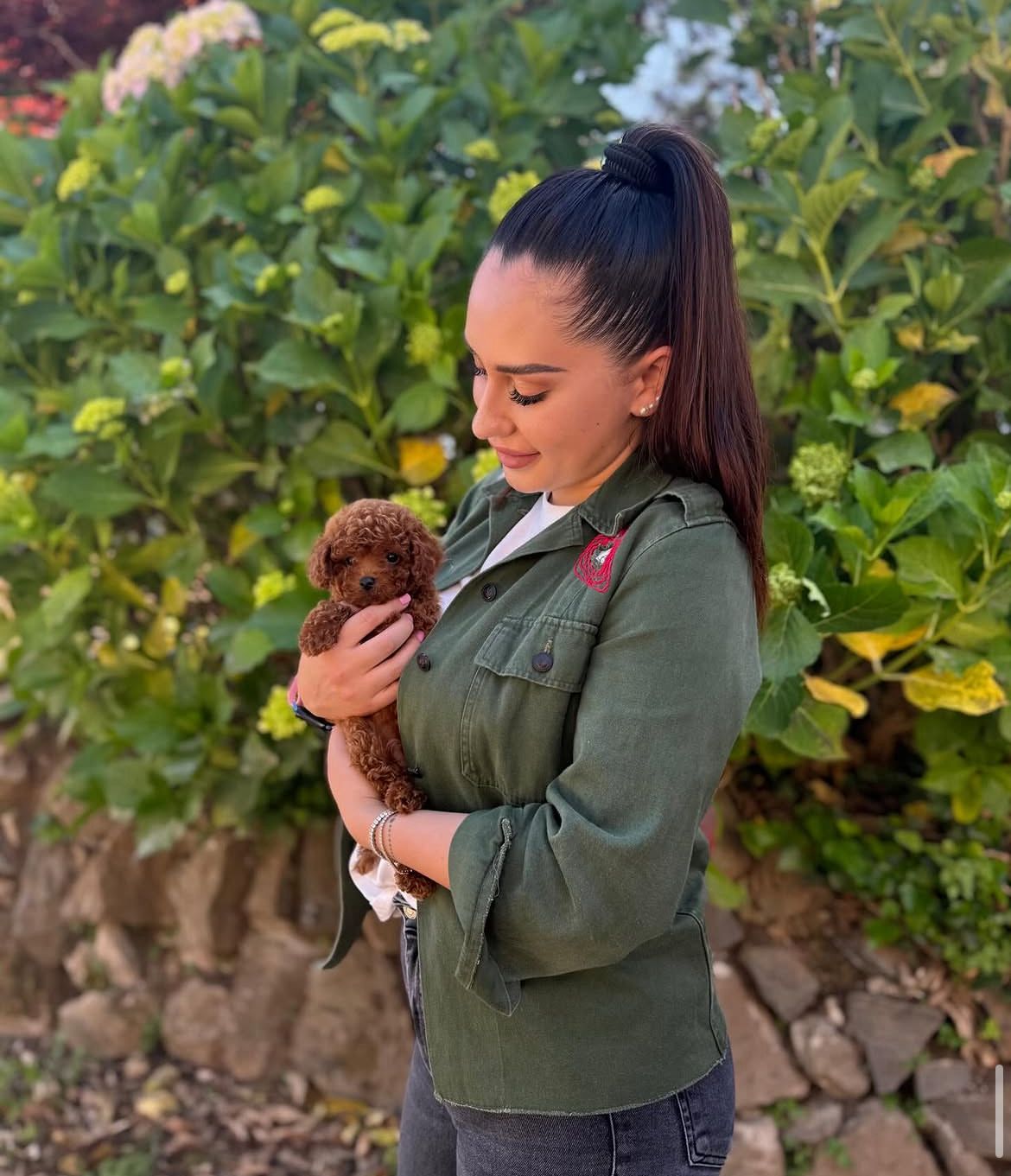 Rolling Dachshunds family