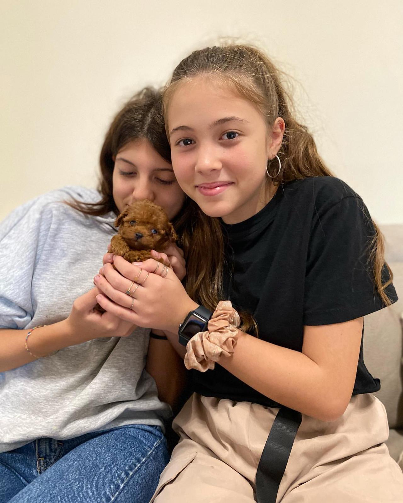 Rolling Dachshunds family