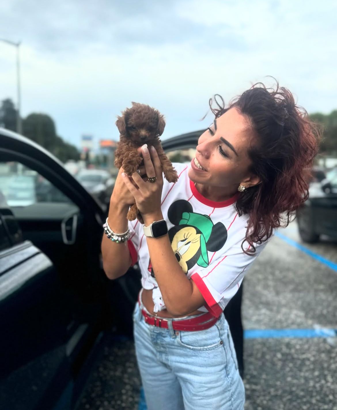 Rolling Dachshunds family