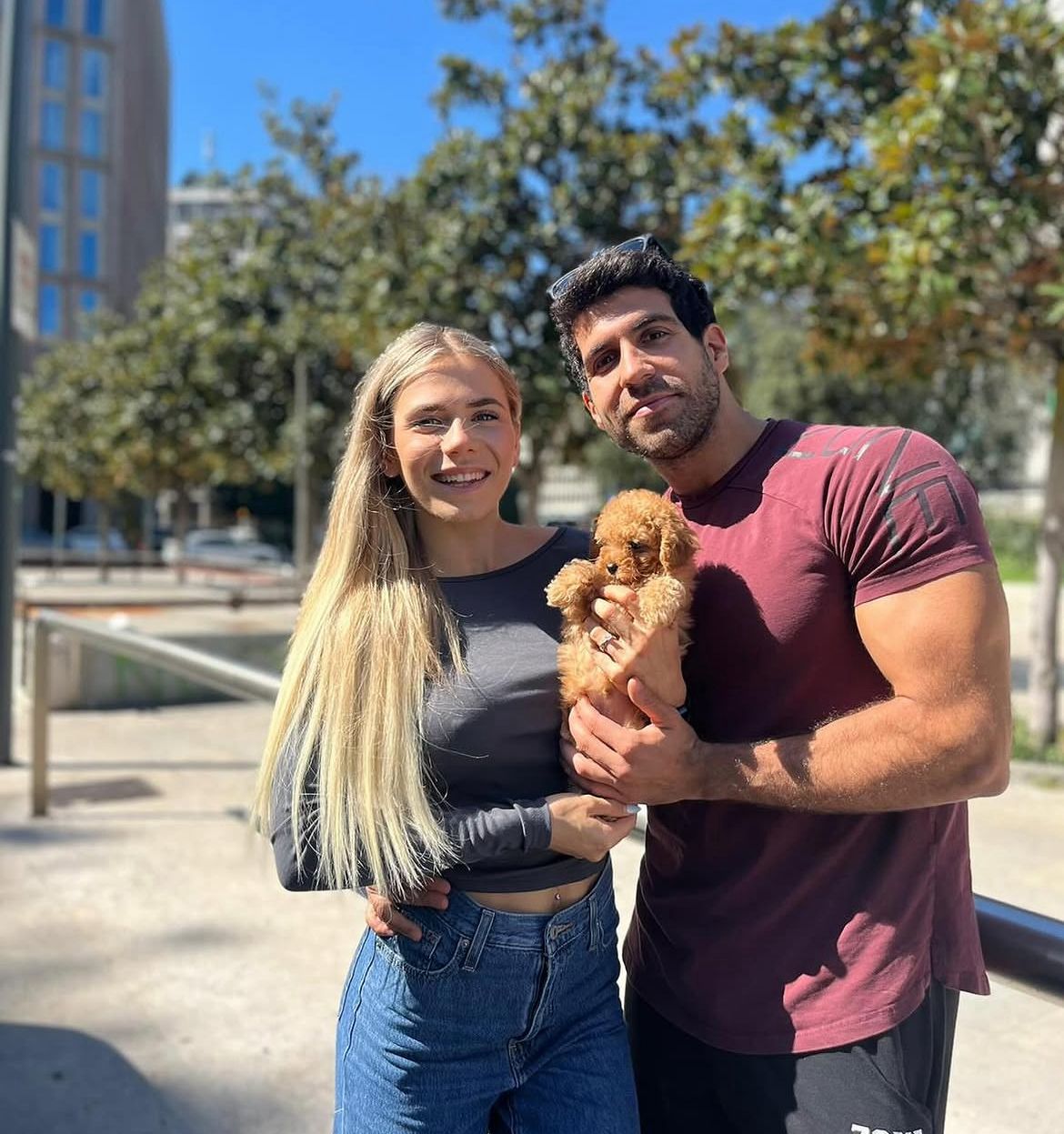 Rolling Dachshunds family