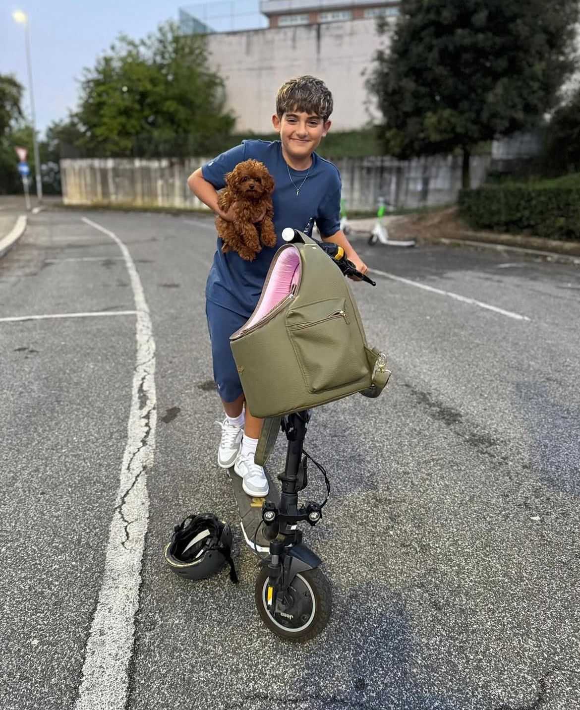 Rolling Dachshunds family