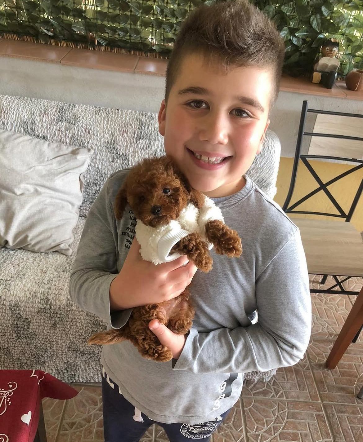 Rolling Dachshunds family