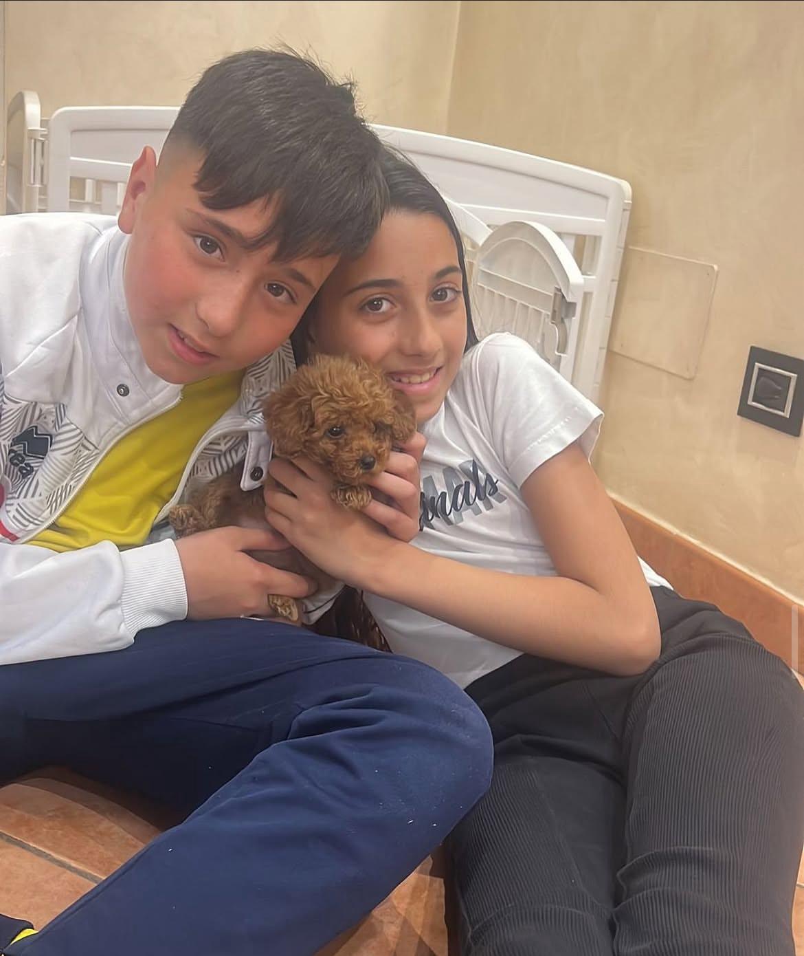 Rolling Dachshunds family