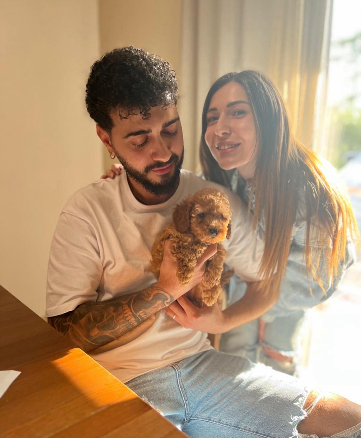 Rolling Dachshunds family