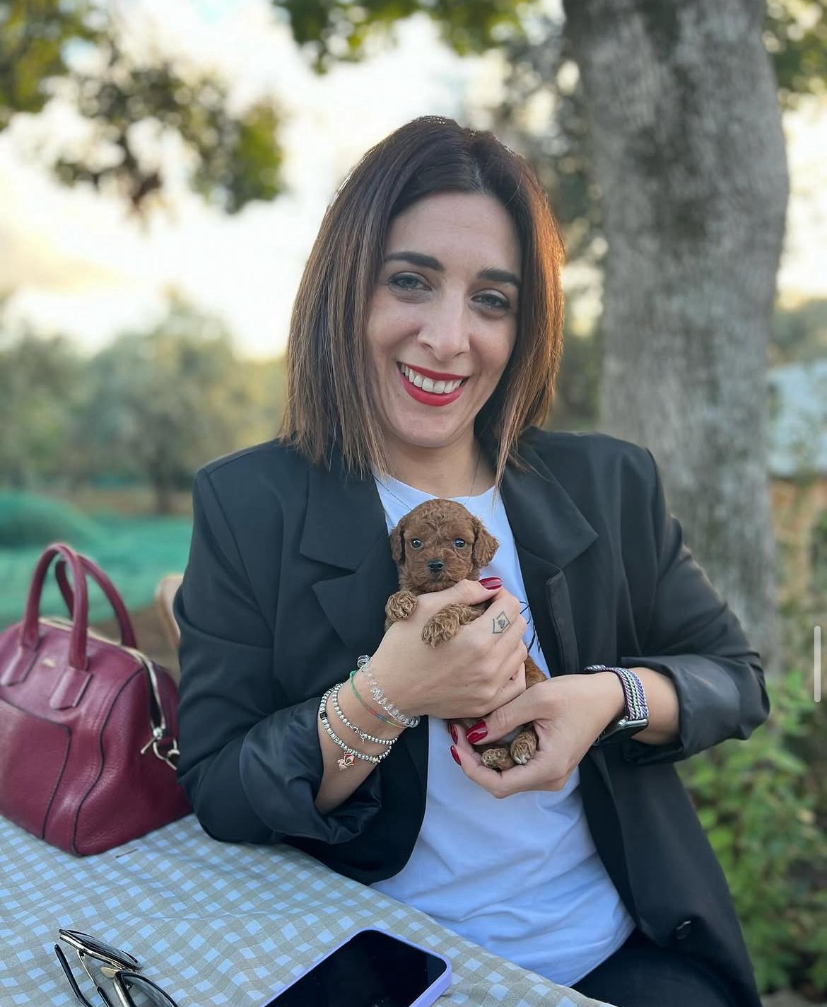 Rolling Dachshunds family